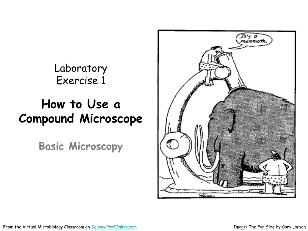 laboratory exercise 1