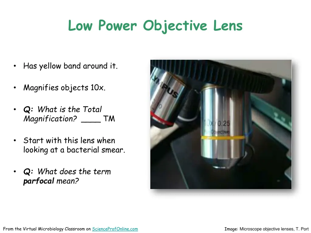 low power objective lens