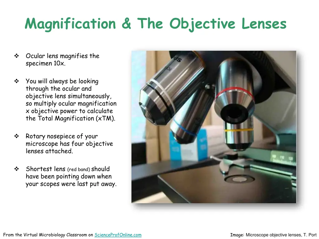 magnification the objective lenses