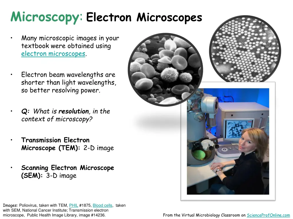 microscopy electron microscopes