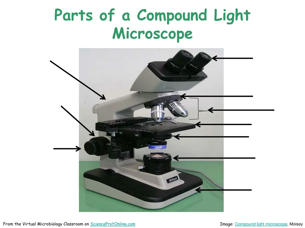 parts of a compound light microscope