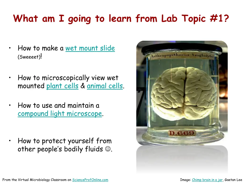 what am i going to learn from lab topic 1