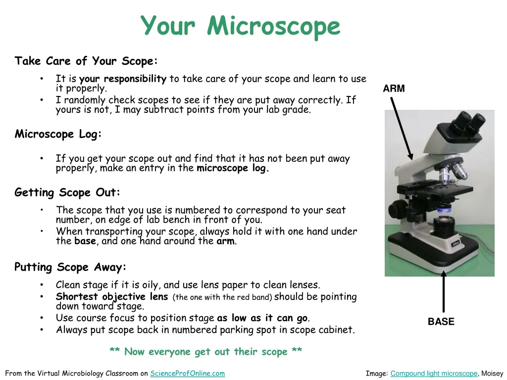 your microscope