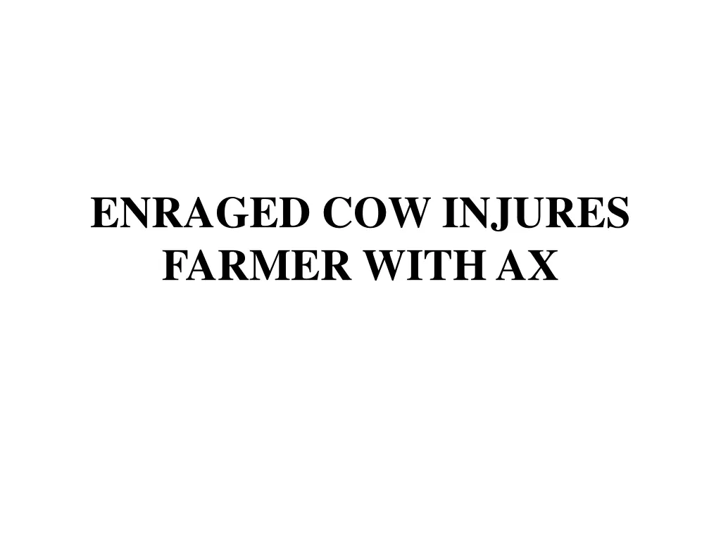 enraged cow injures farmer with ax