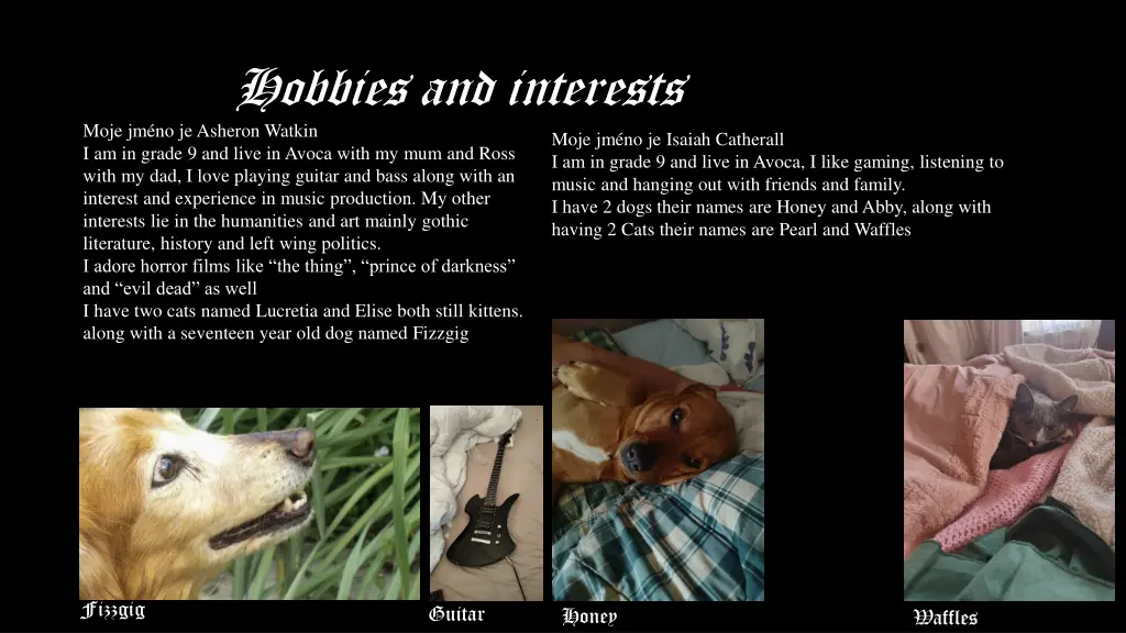 hobbies and interests moje jm no je asheron