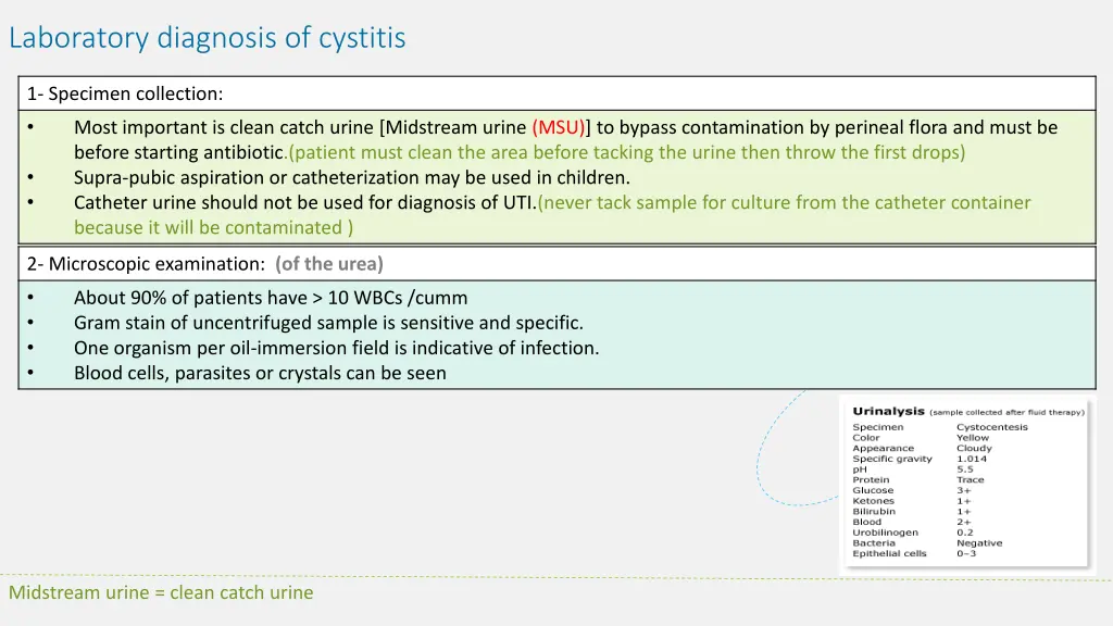 laboratory diagnosis of cystitis