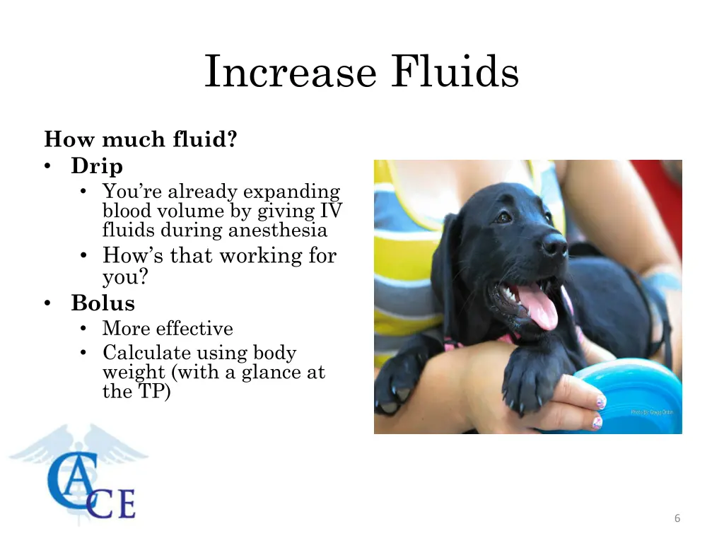 increase fluids 1