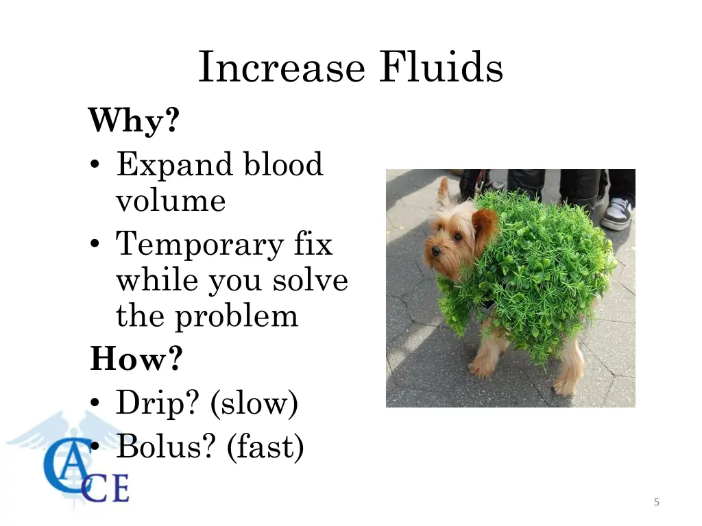 increase fluids