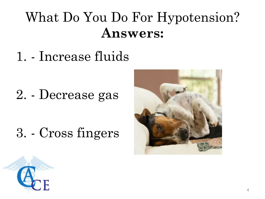 what do you do for hypotension answers