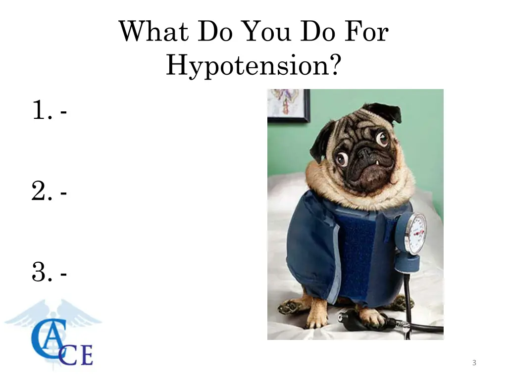 what do you do for hypotension