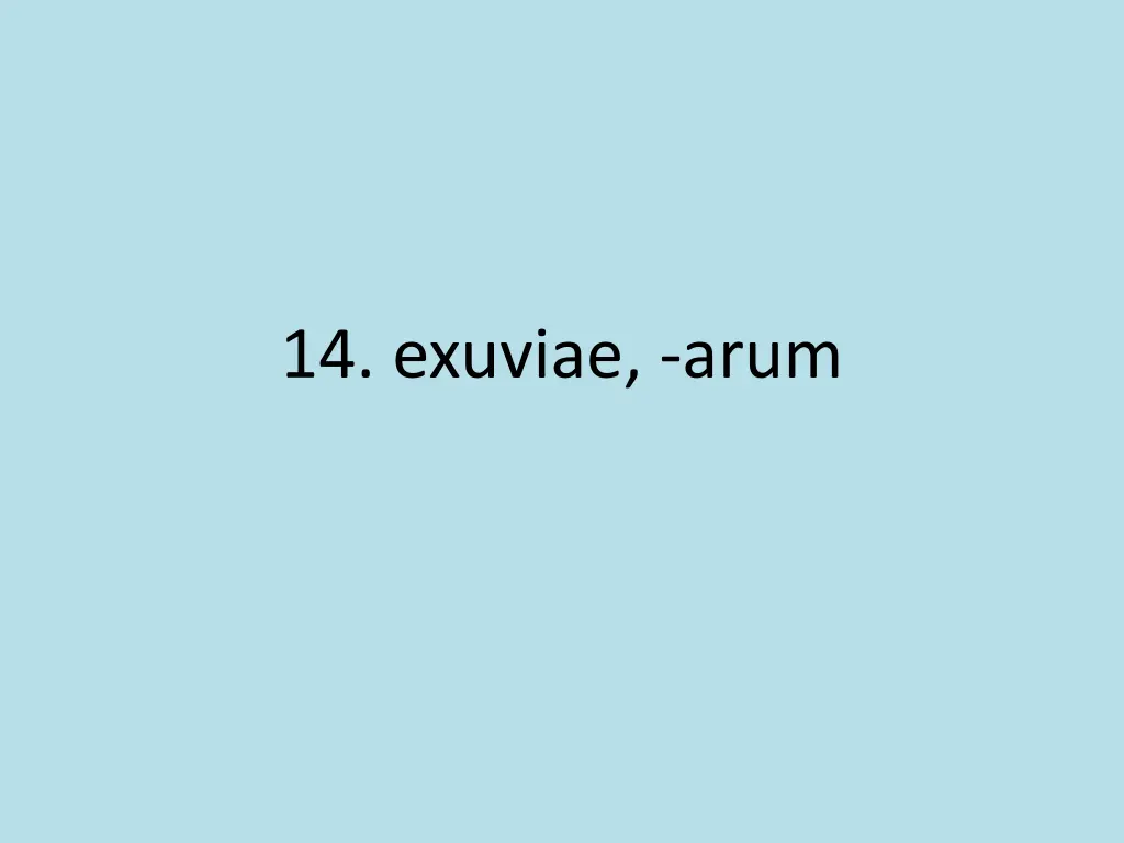 14 exuviae arum