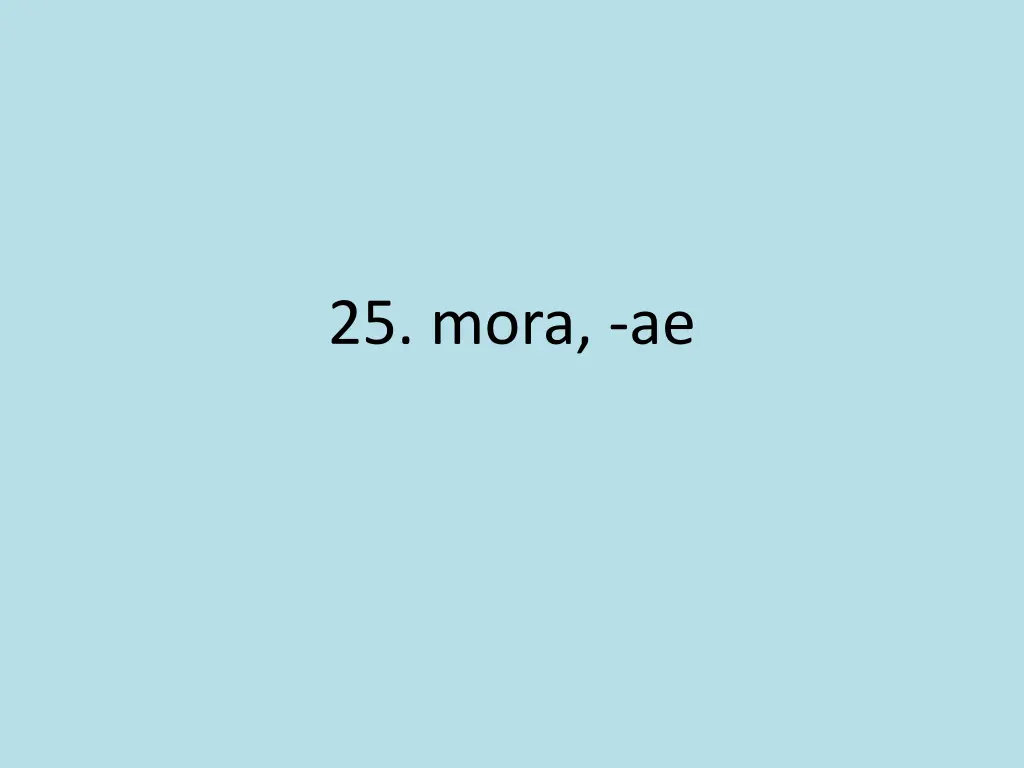 25 mora ae