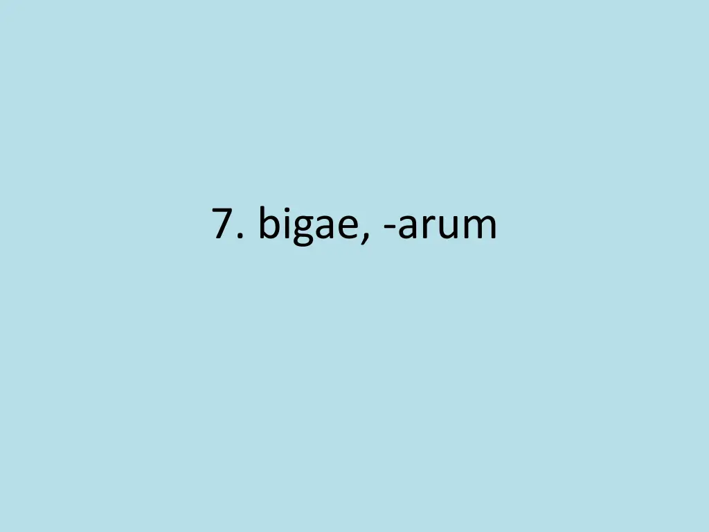 7 bigae arum