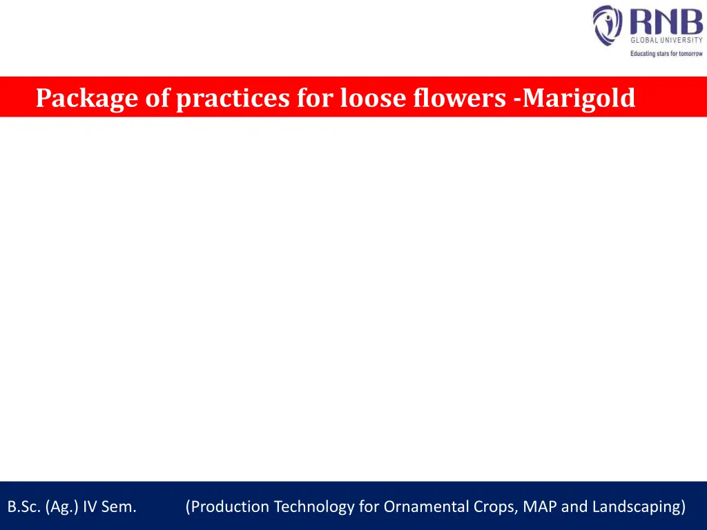 package of practices for loose flowers marigold