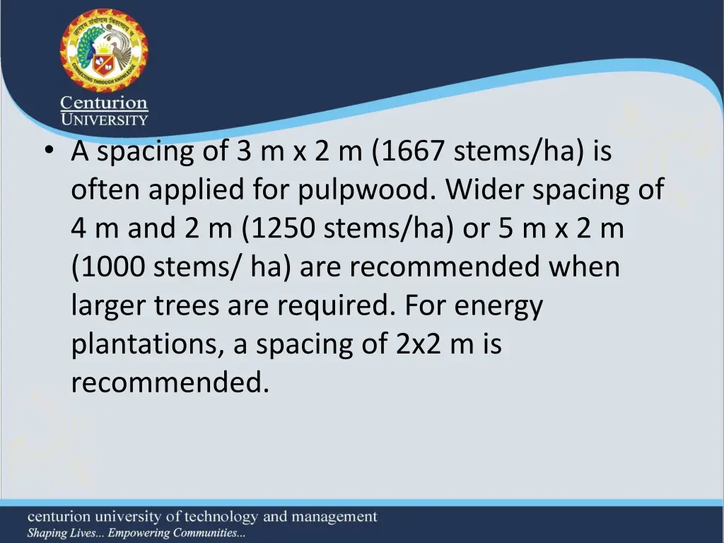 a spacing of 3 m x 2 m 1667 stems ha is often