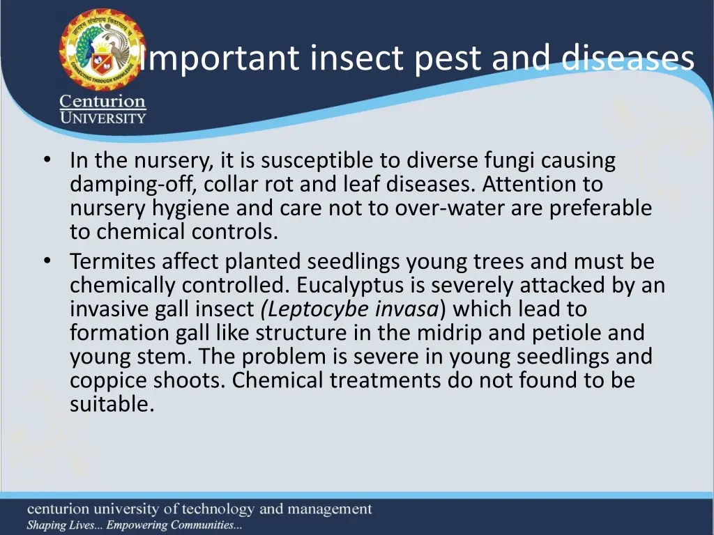 important insect pest and diseases