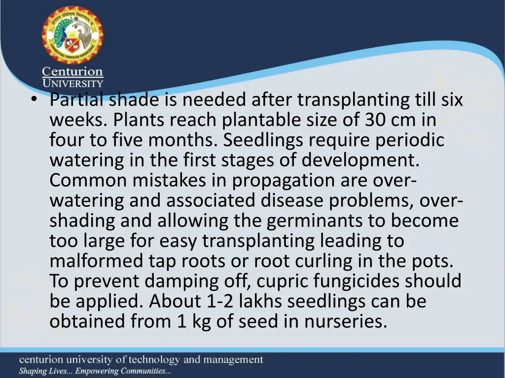 partial shade is needed after transplanting till