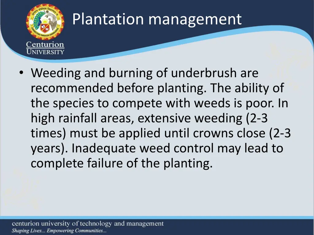 plantation management