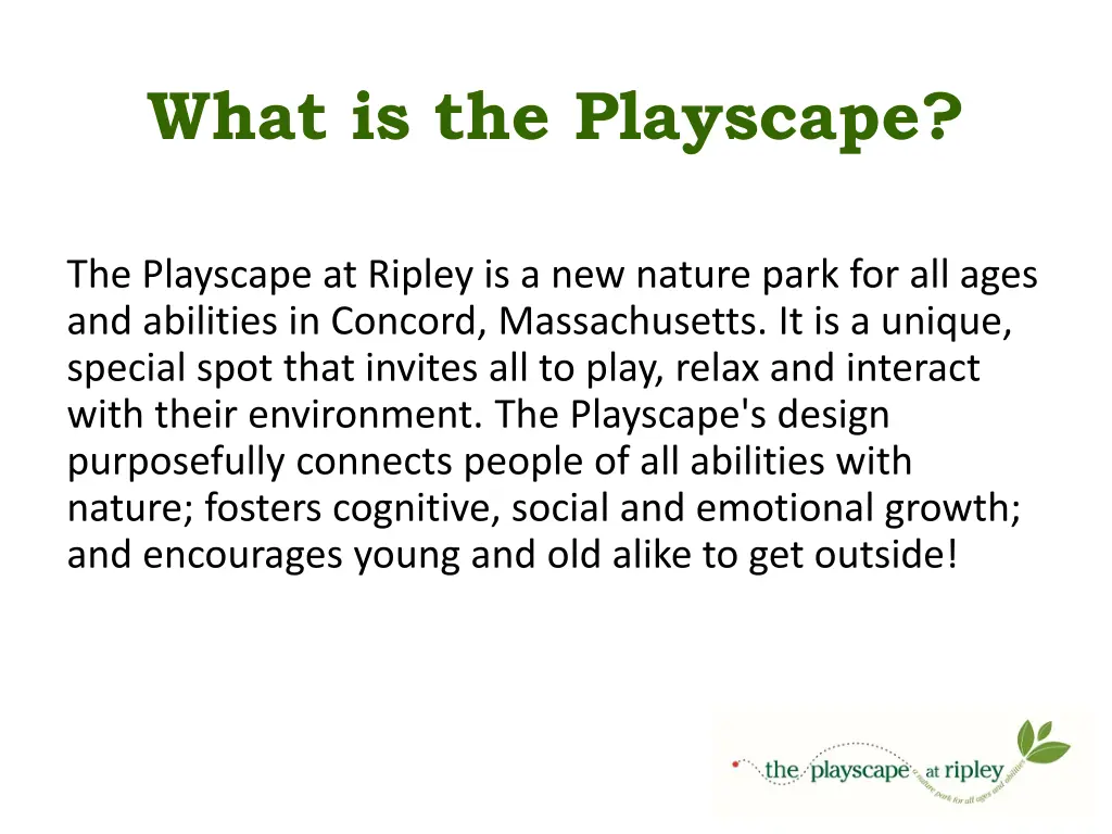 what is the playscape