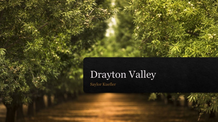 drayton valley saylor kuefler