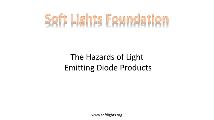 soft lights foundation