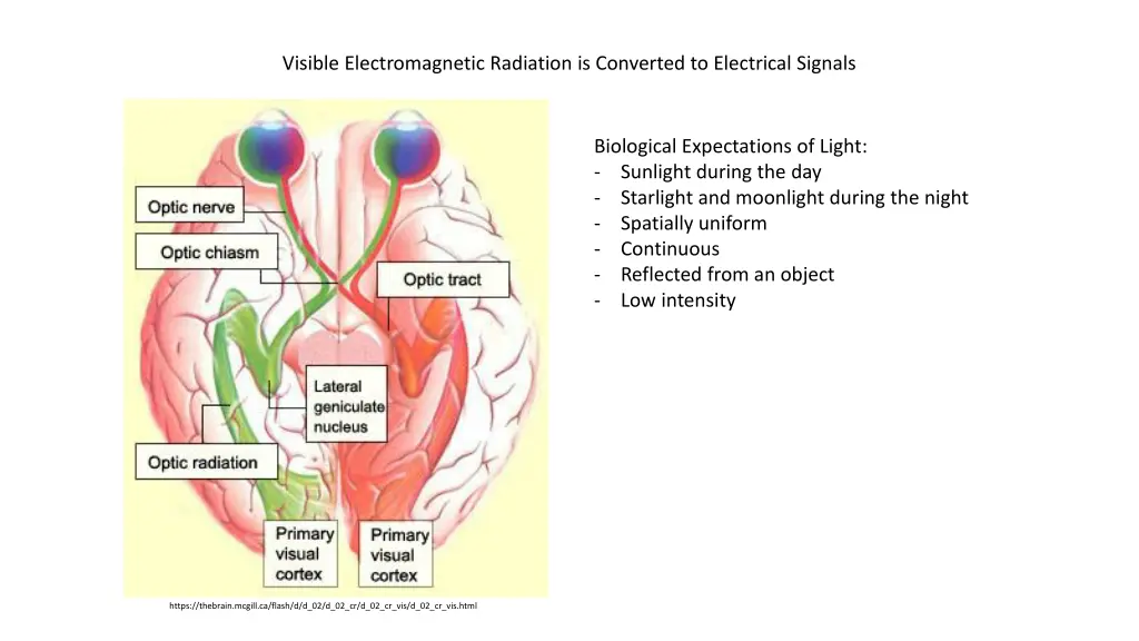 visible electromagnetic radiation is converted