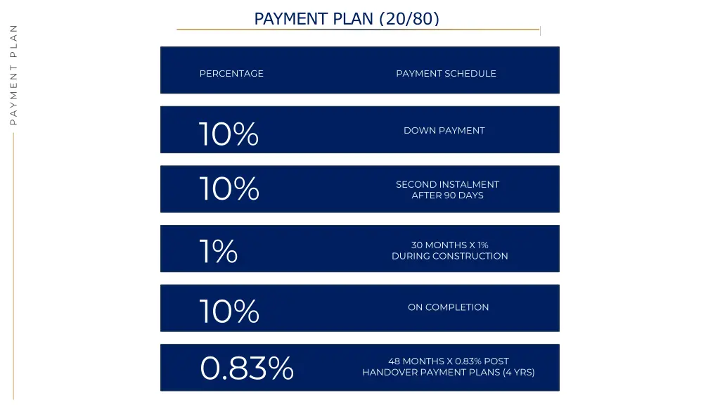 payment plan 20 80