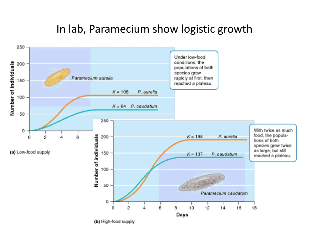 in lab paramecium show logistic growth