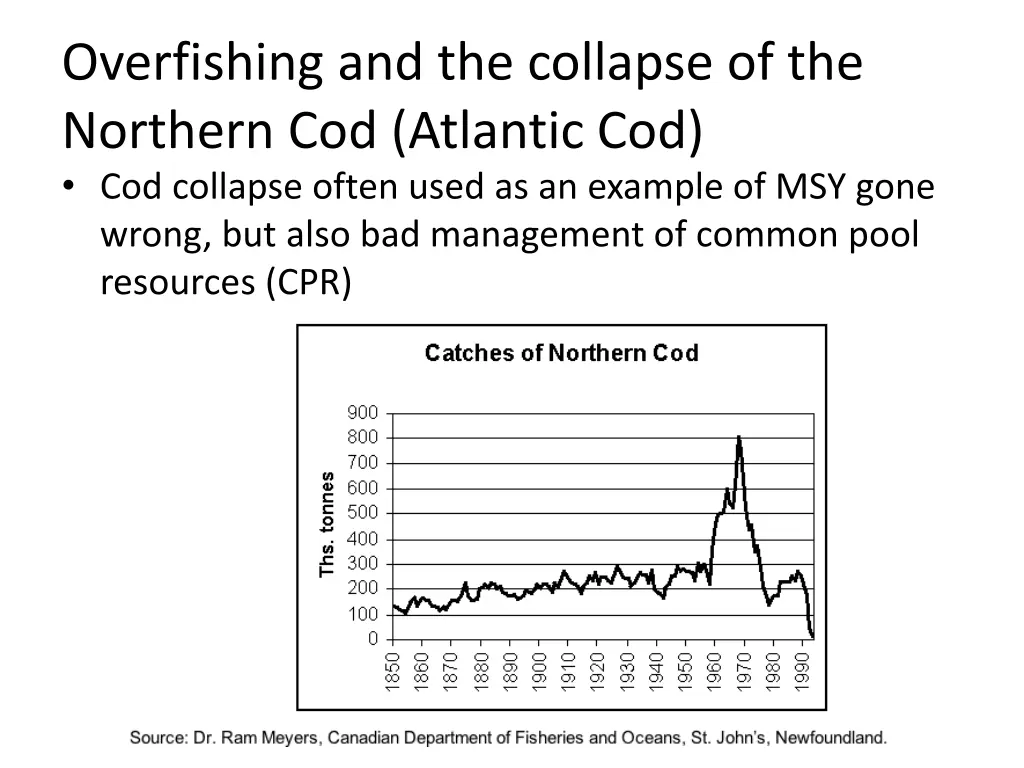 overfishing and the collapse of the northern