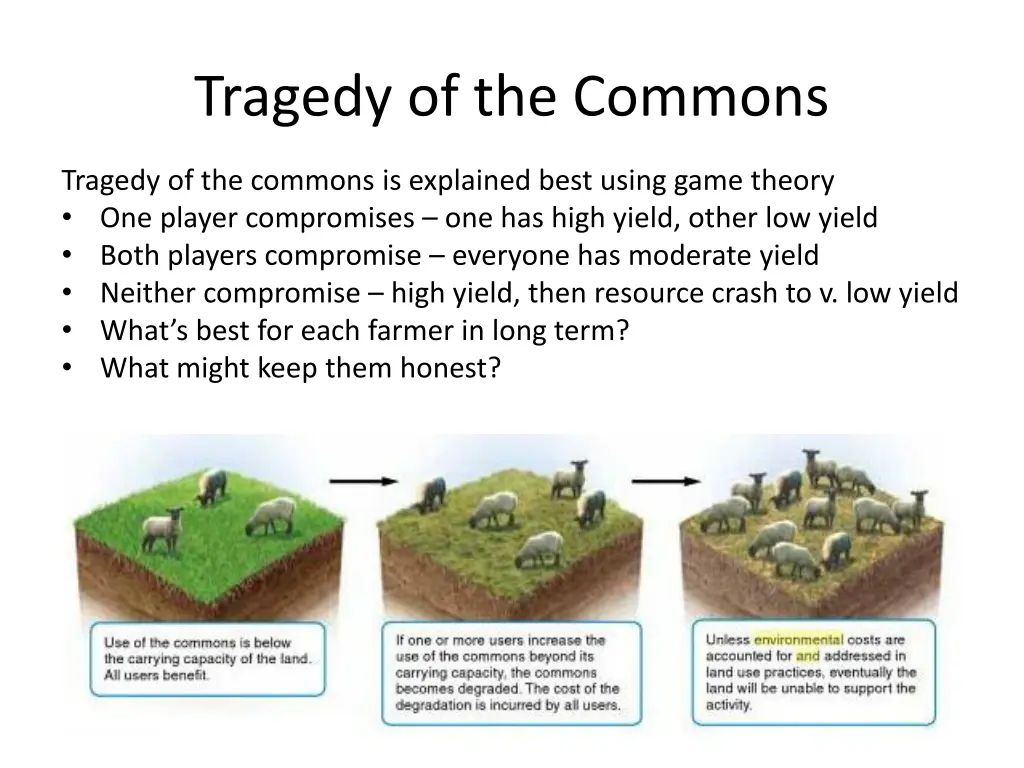 tragedy of the commons 1