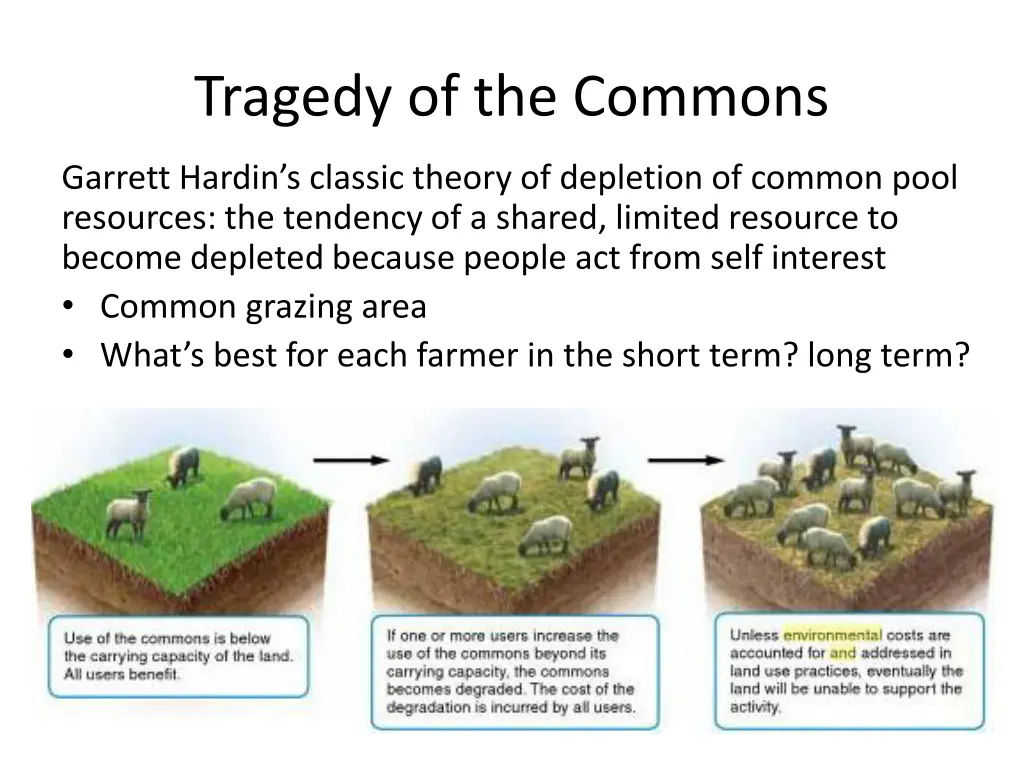 tragedy of the commons