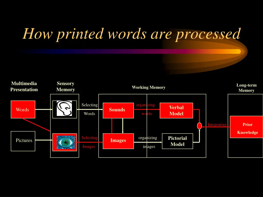 how printed words are processed