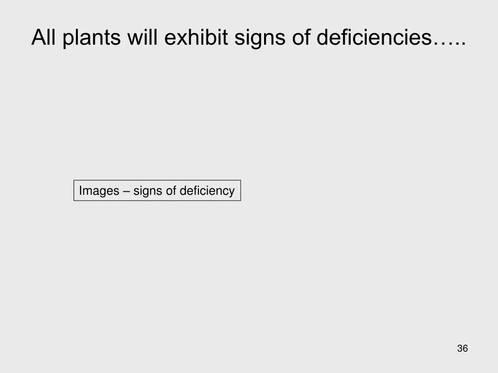 all plants will exhibit signs of deficiencies