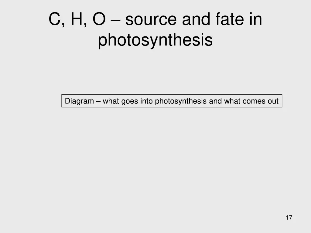 c h o source and fate in photosynthesis