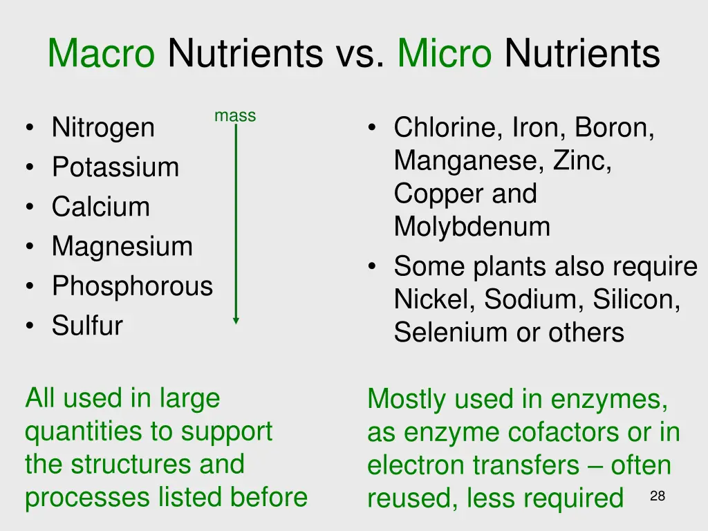 macro nutrients vs micro nutrients