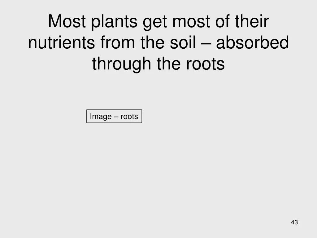 most plants get most of their nutrients from