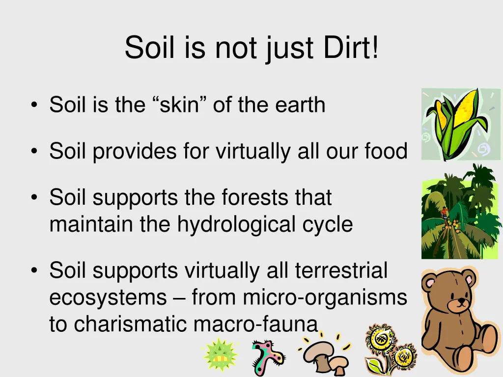 soil is not just dirt