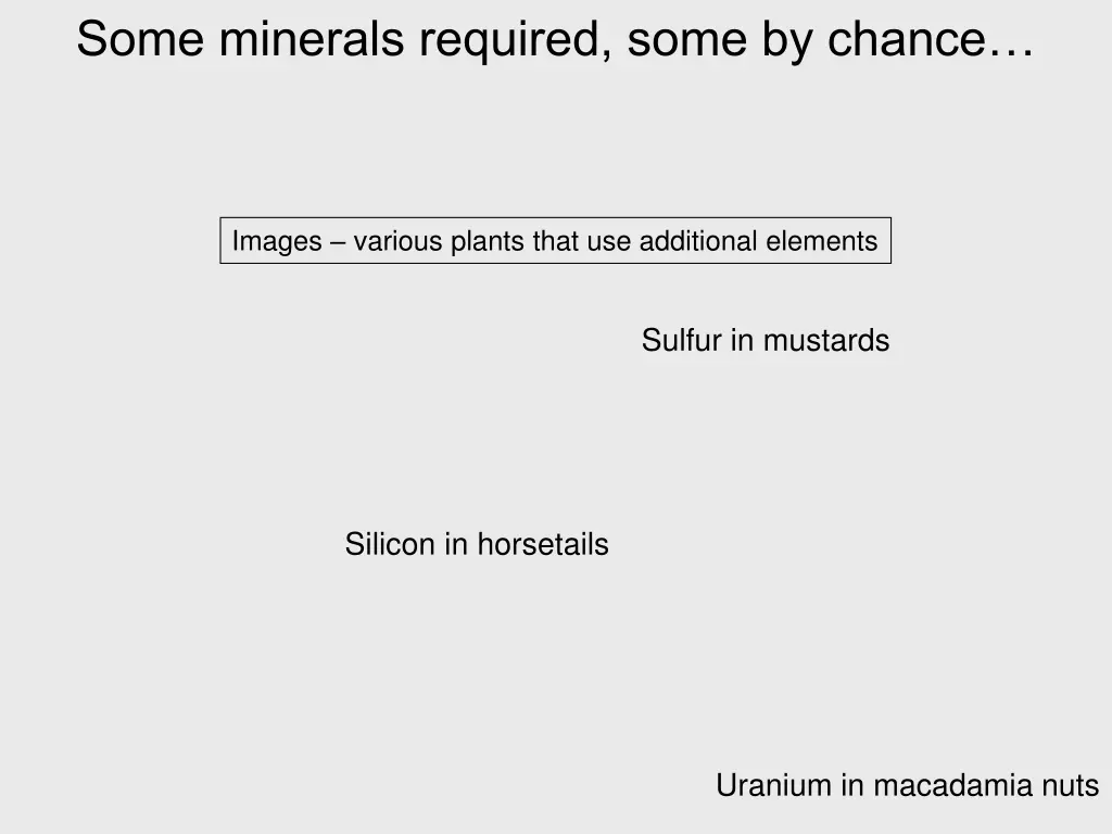 some minerals required some by chance