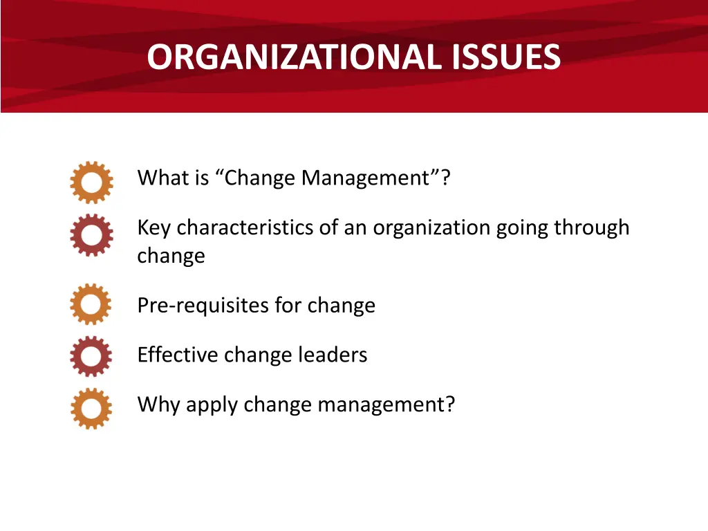 organizational issues 2