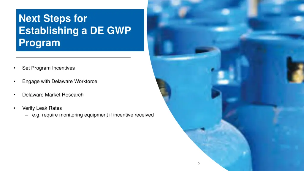 next steps for establishing a de gwp program