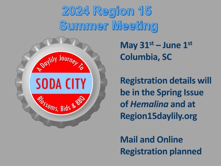 2024 region 15 summer meeting