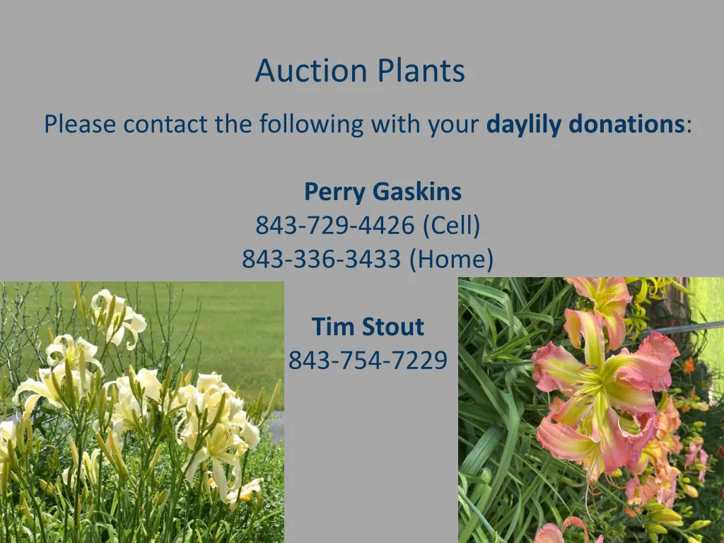 auction plants