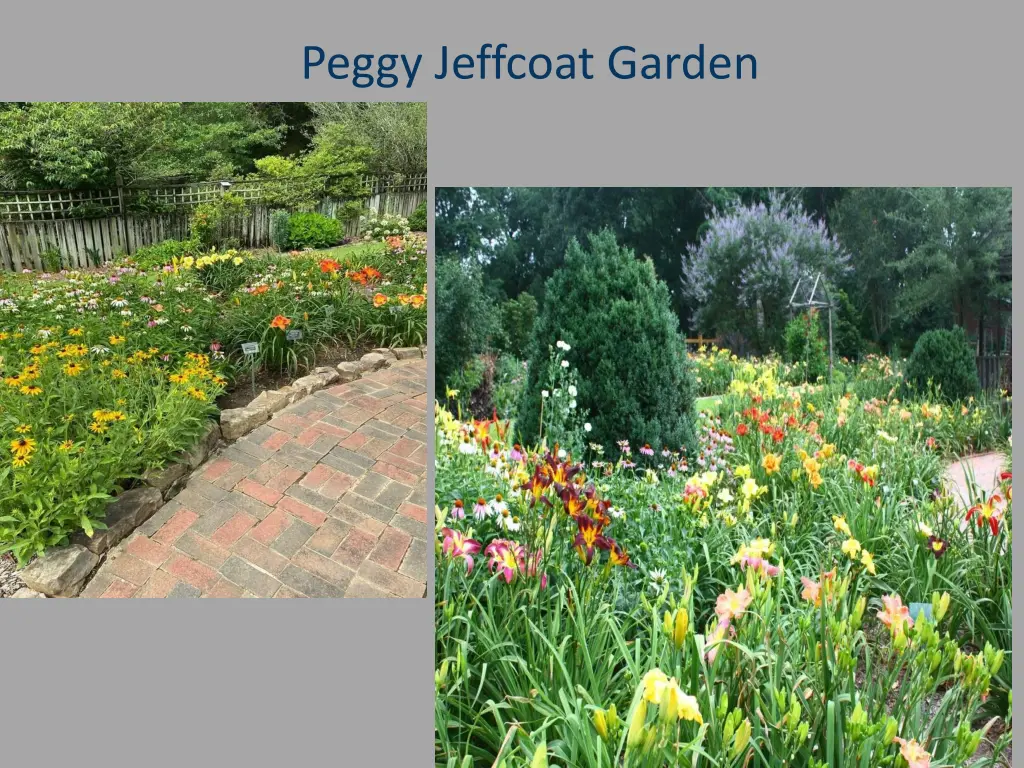 peggy jeffcoat garden