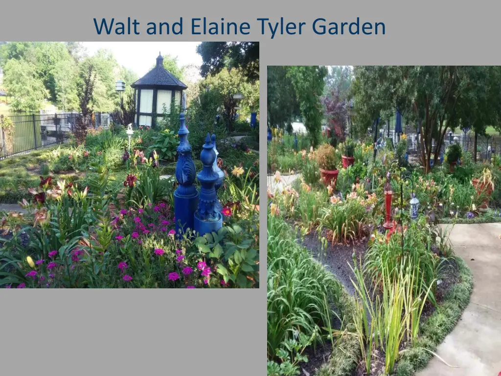 walt and elaine tyler garden