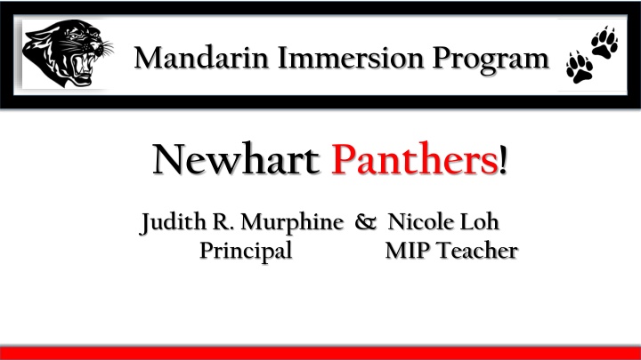 mandarin immersion program