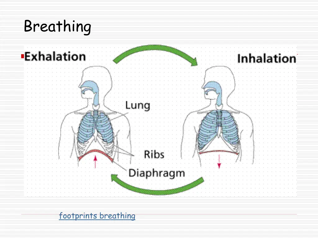 breathing