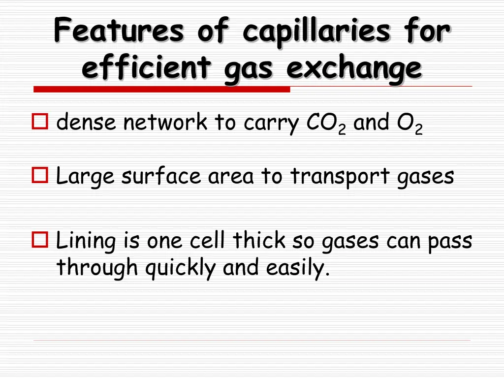 features of capillaries for efficient gas exchange