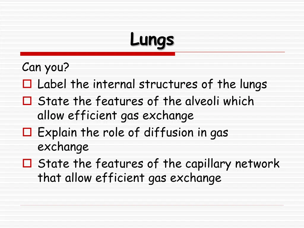 lungs 1