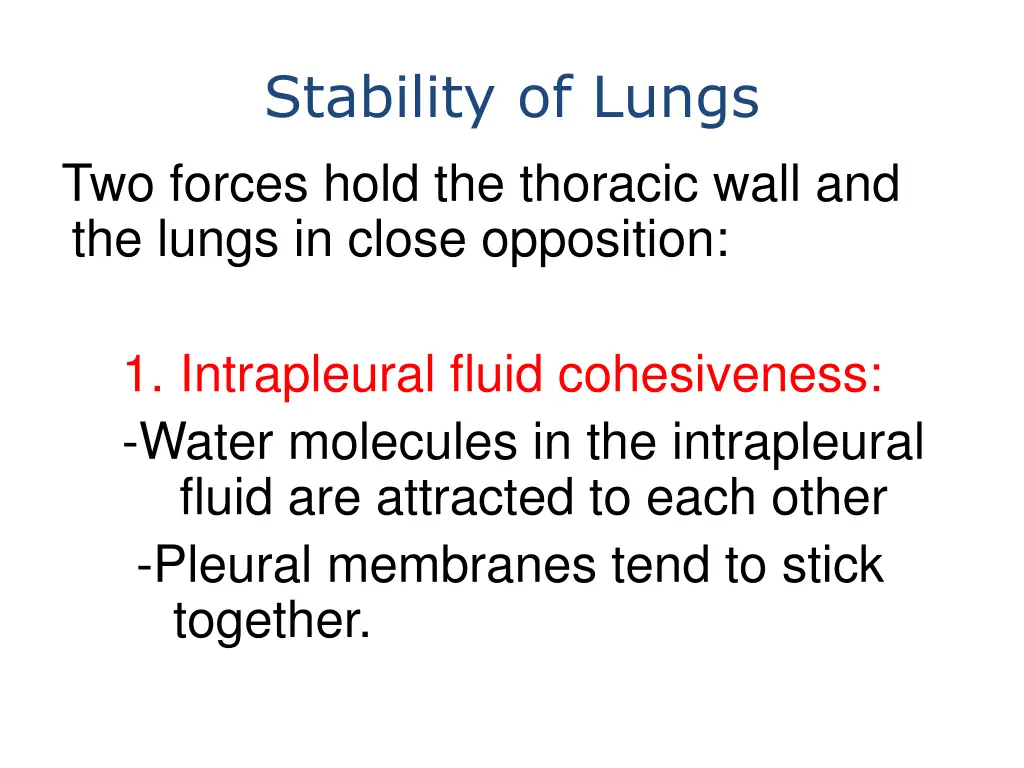 stability of lungs two forces hold the thoracic