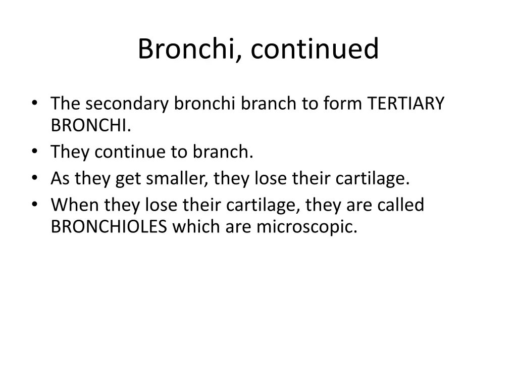 bronchi continued